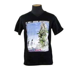 Royal Queen Seeds T-shirt Penguin Royal Queen Seeds T-shirt Penguin