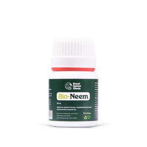 Neem olaj