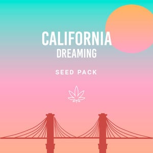 California Dreamin' csomag