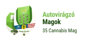 autovirázgö-marijuana-magok