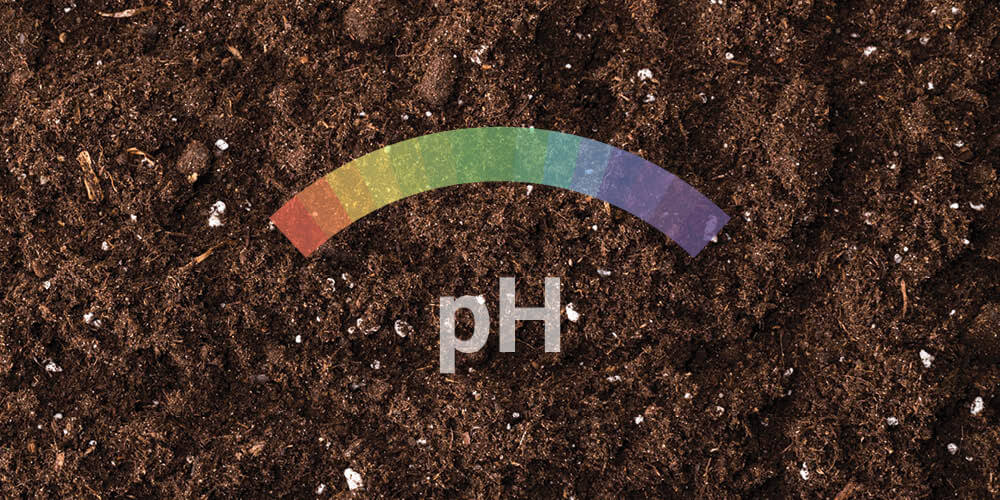 PH ÉRTÉK PH ÉRTÉK