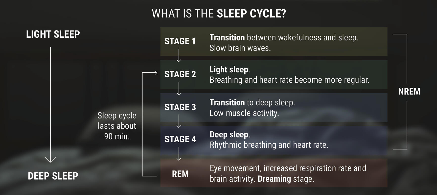 Mi az alvási ciklus? 