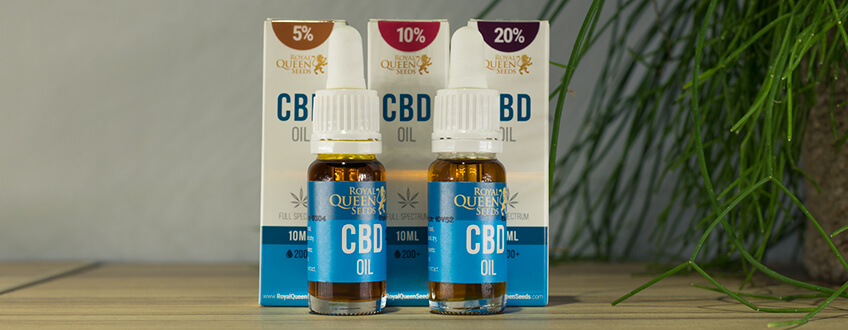 CBD olaj a Royal Queen Seeds által CBD olaj a Royal Queen Seeds által