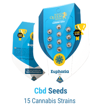 CBD-seeds