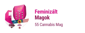 feminizált-marijuana-magok