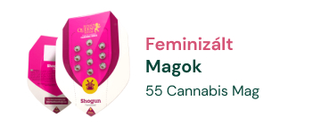 feminizált-marijuana-magok