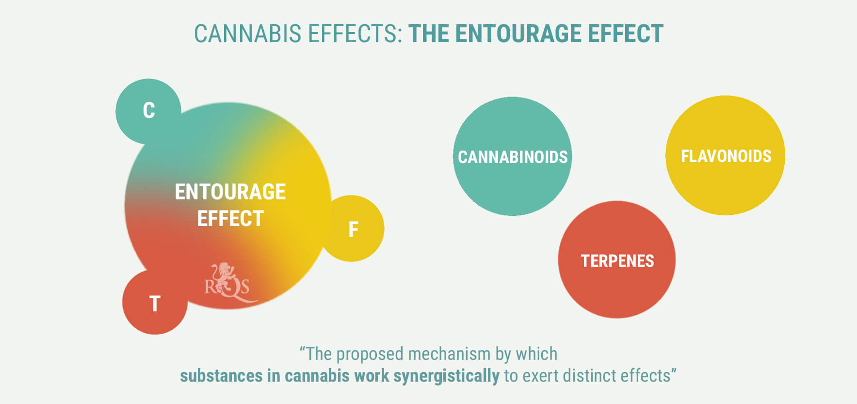 The Entourage Effect The Entourage Effect