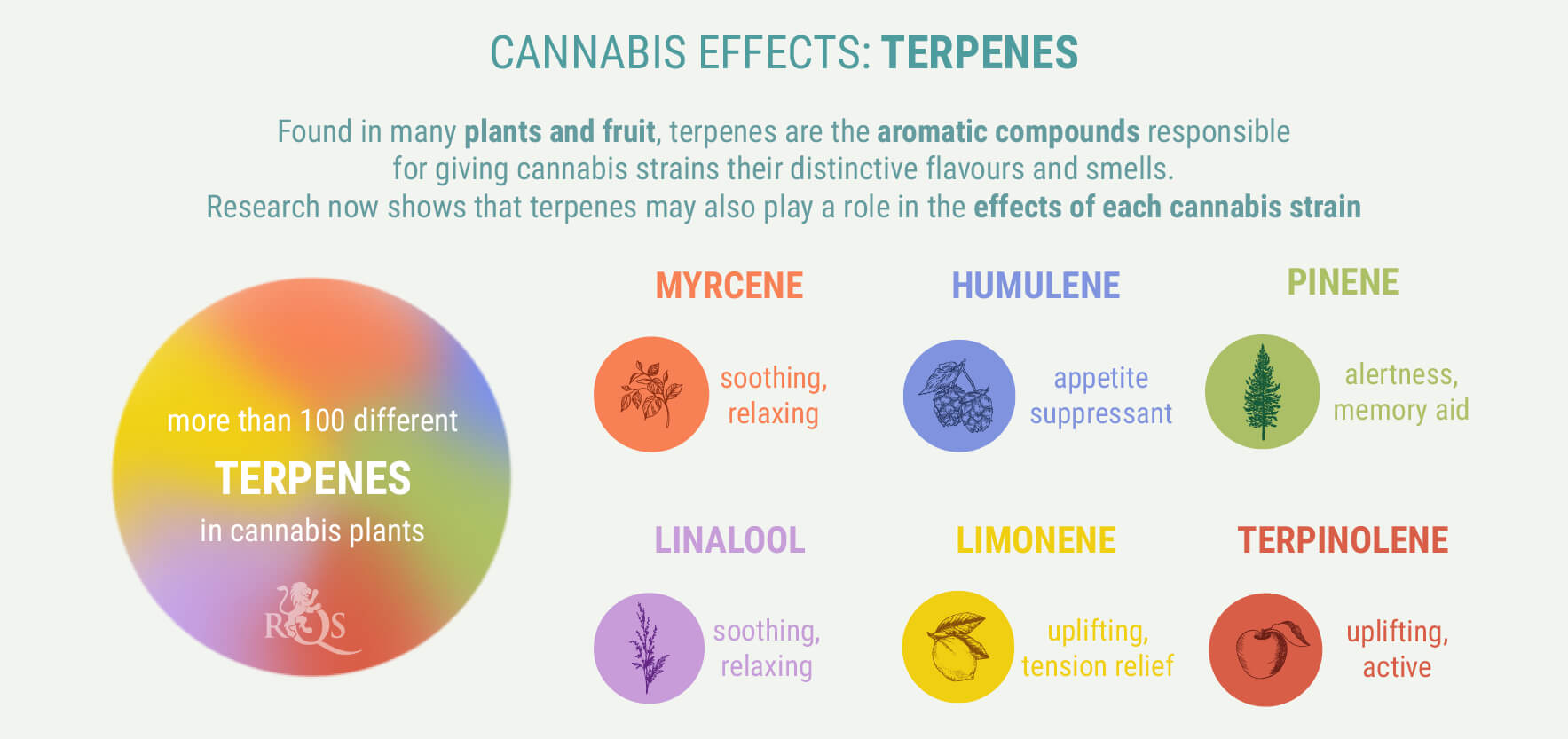 Terpenes Terpenes