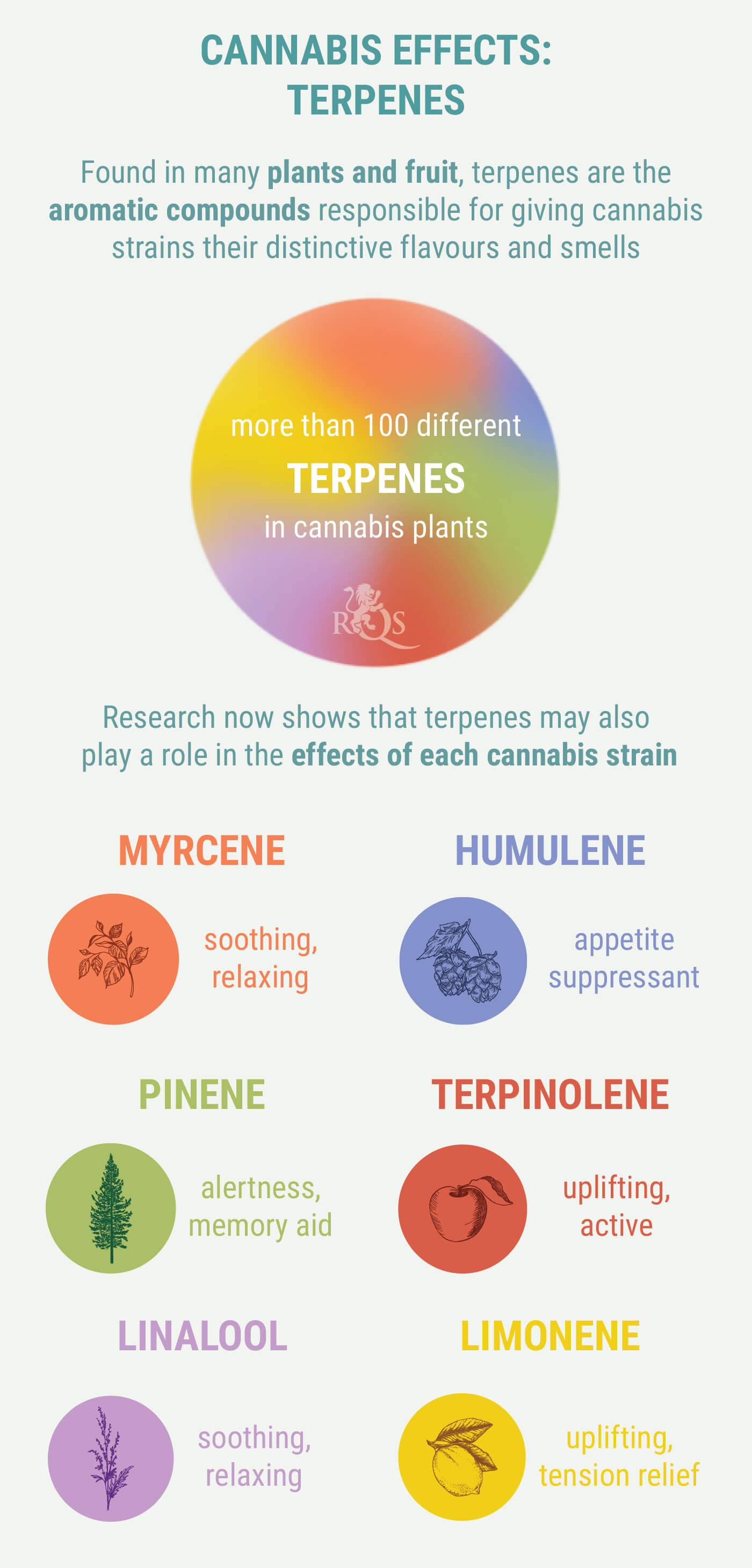 Terpenes Terpenes
