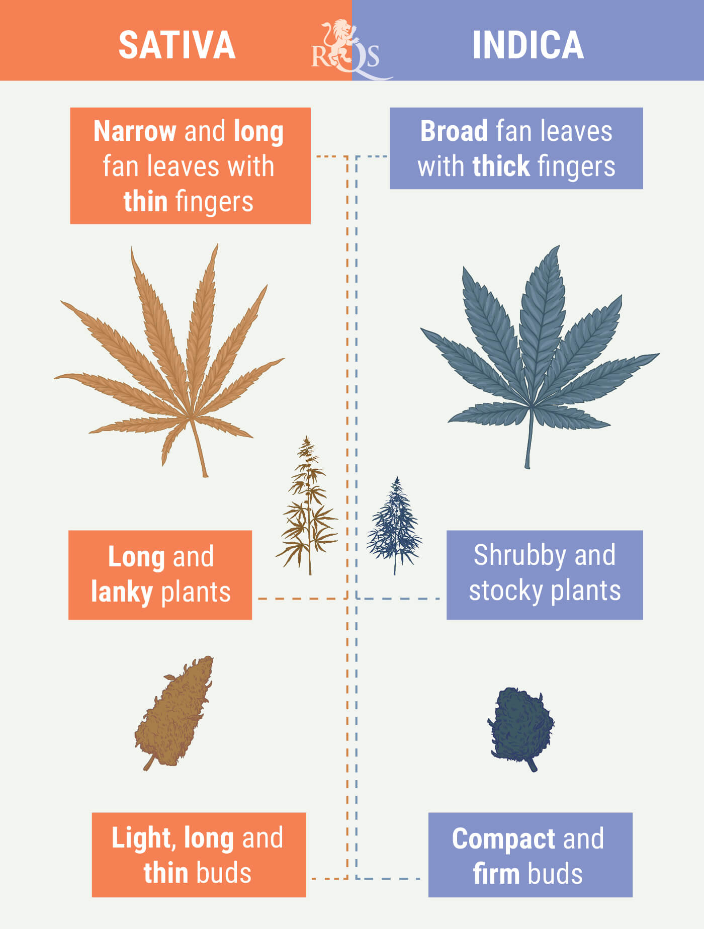Sativa vs Indica Sativa vs Indica