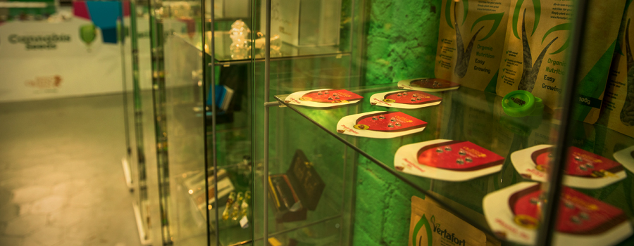 Royal Queen Seeds shop de Barcelona