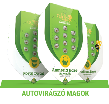 autovirázgö-marijuana-magok