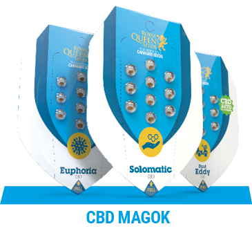 cbd-marijuana-magok