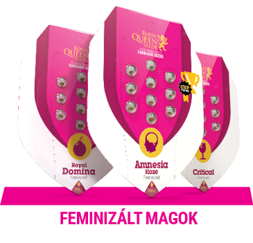 feminizált-marijuana-magok