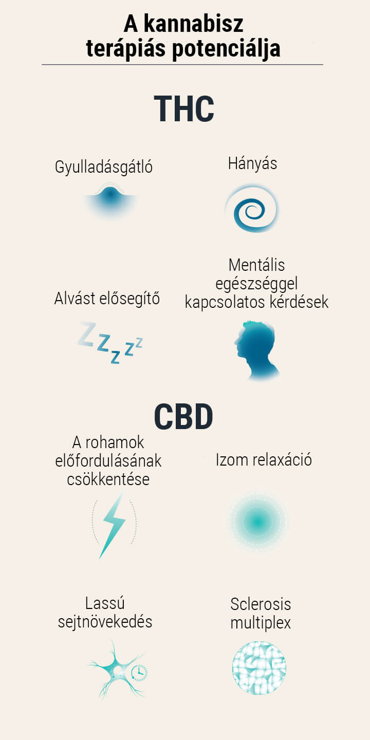 Orvosi kannabisz magok Orvosi kannabisz magok