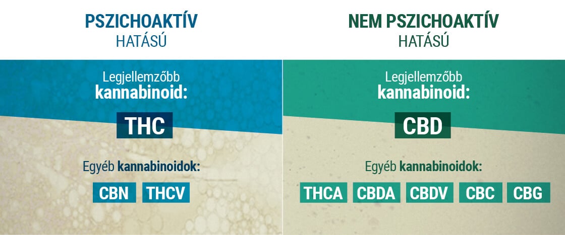 Pszichoaktív Hatású Nem Pszichoaktív Hatású kannabinoid