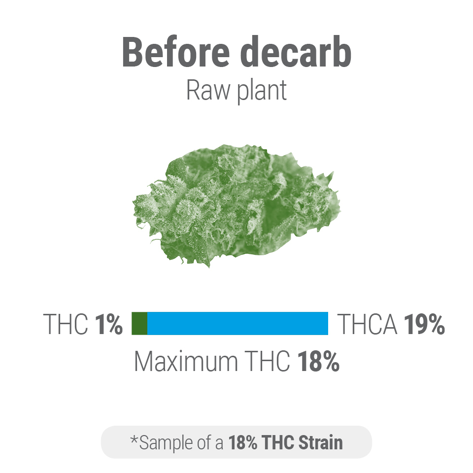 Hogyan lehet dekarboxilezni a kannabiszt