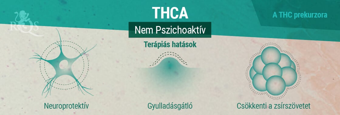 Terápiás hatások THCA