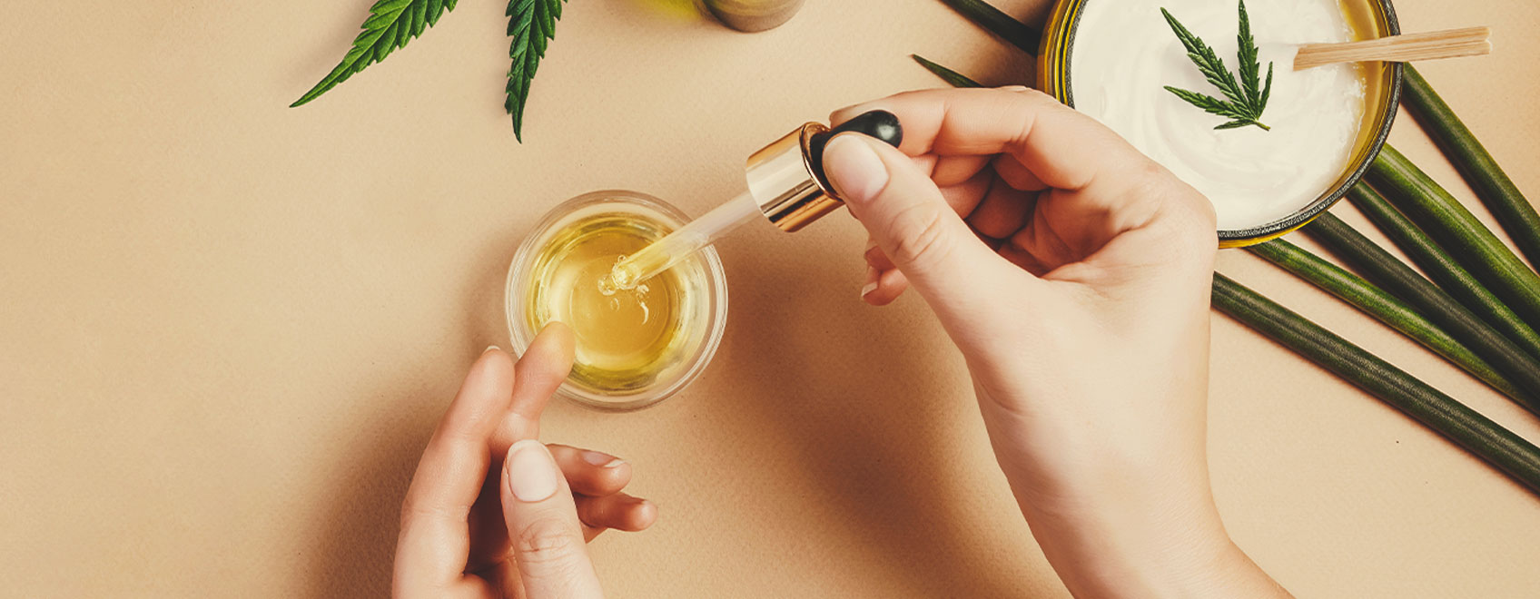 Hogyan készítsünk CBD olajat az orvosi kannabiszmagokból Hogyan készítsünk CBD olajat az orvosi kannabiszmagokból
