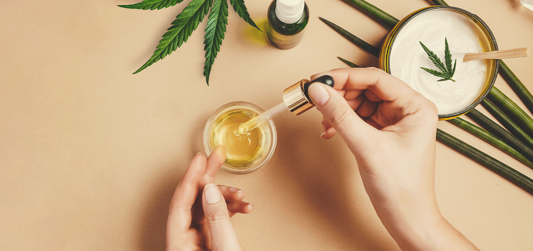 Hogyan készítsünk CBD olajat az orvosi kannabiszmagokból Hogyan készítsünk CBD olajat az orvosi kannabiszmagokból