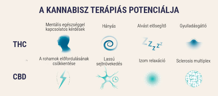 Orvosi kannabisz magok Orvosi kannabisz magok