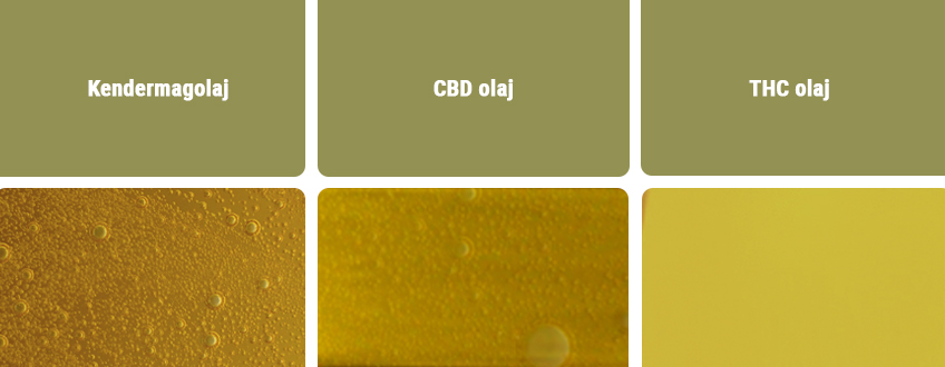 CBD olaj vs más típusú olajok