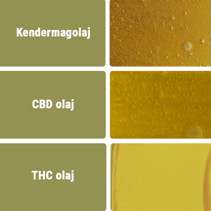 CBD olaj vs más típusú olajok