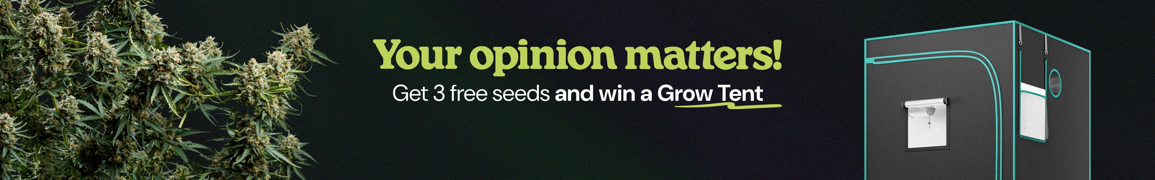 Answer to win 3 FREE Gushers Seeds