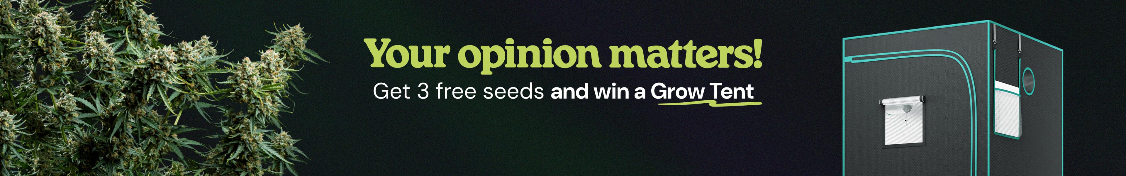 Answer to win 3 FREE Gushers Seeds
