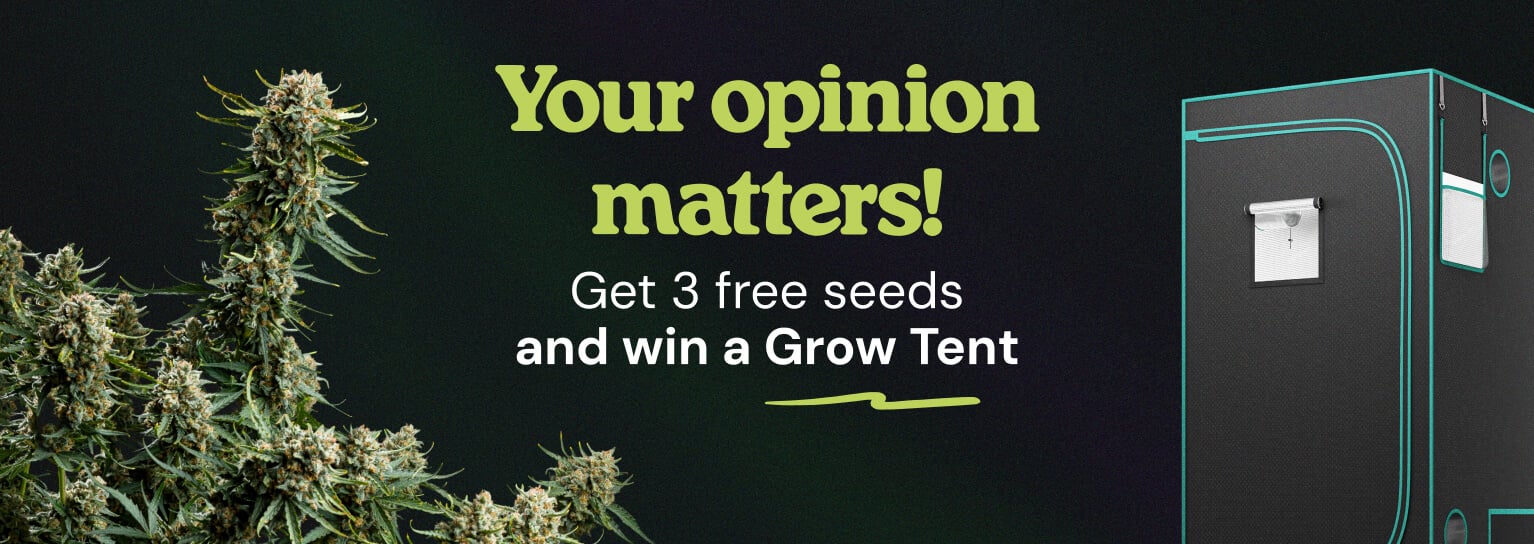 Answer to win 3 FREE Gushers Seeds