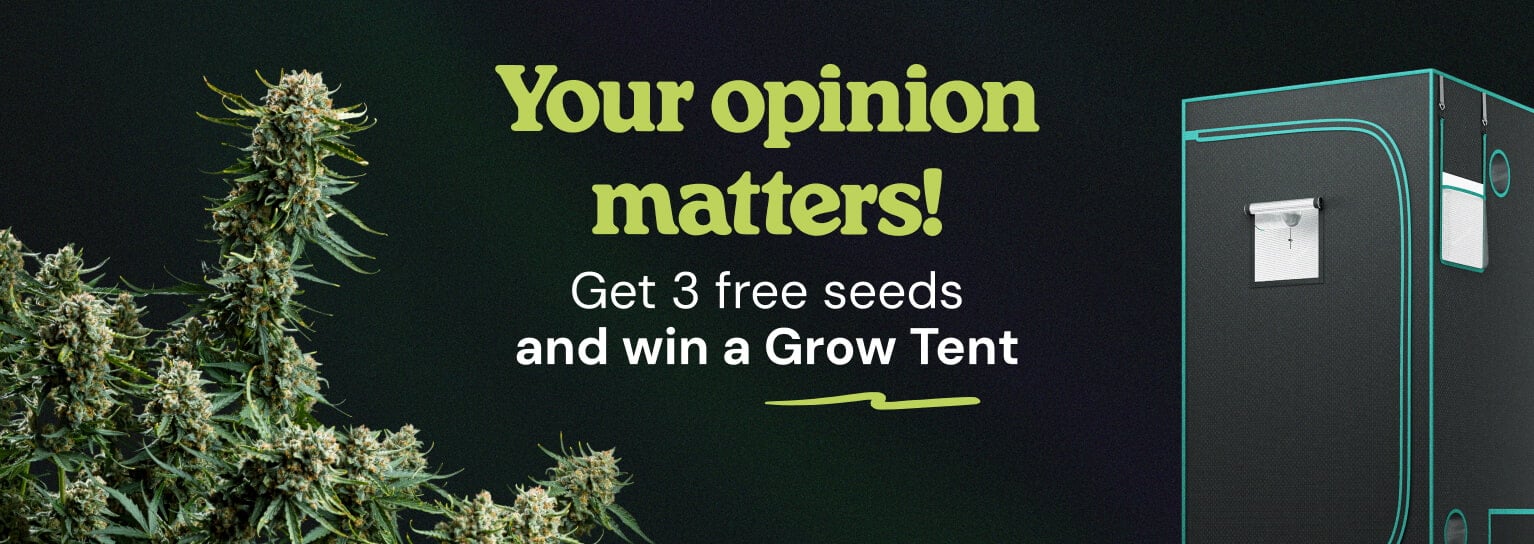 Answer to win 3 FREE Gushers Seeds