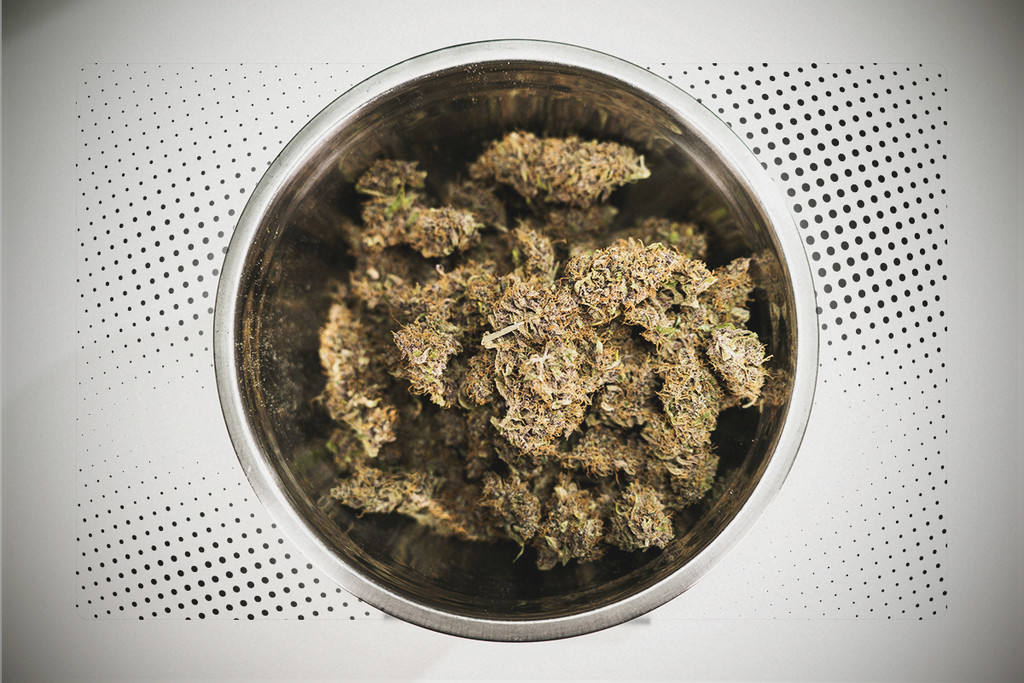Korábban vagy később jobb leszüretelni a kannabiszt? - RQS Blog