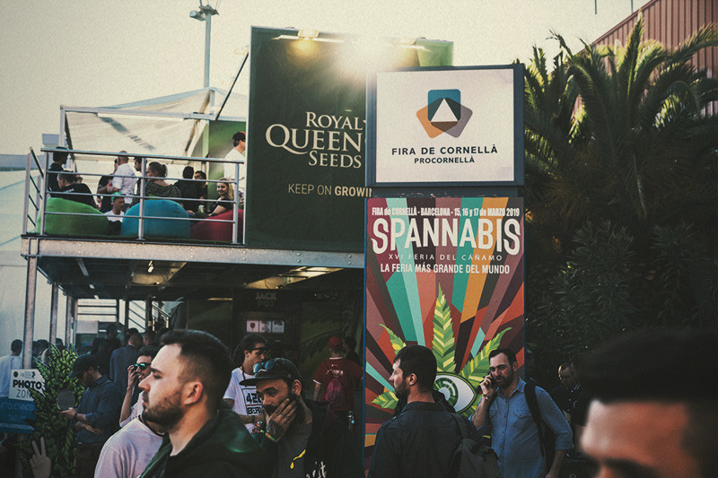 Spannabis 2019: A Royal Queen Seeds a legjobb magbank!