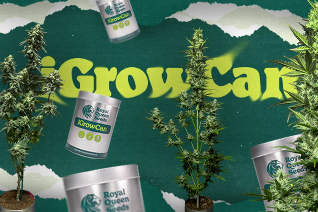 Fedezze fel az iGrowCan-t: A legegyszerűbb módszer első kannabisza felneveléséhez