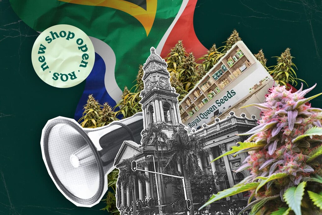 A Royal Queen Seeds megnyitja első üzletét Durbanban, és prémium kannabsizmagot szállít Dél-Afrikába