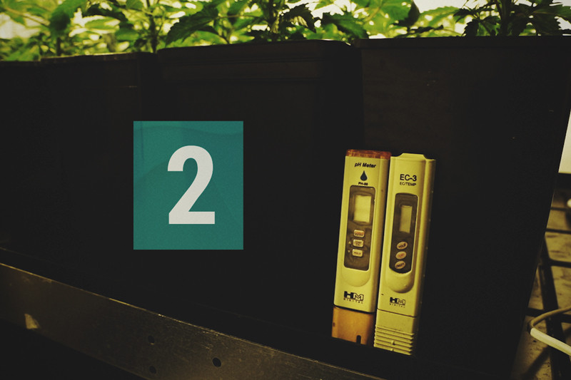 Kannabisz és vízminőség 2. rész: PPM & EC - RQS Blog