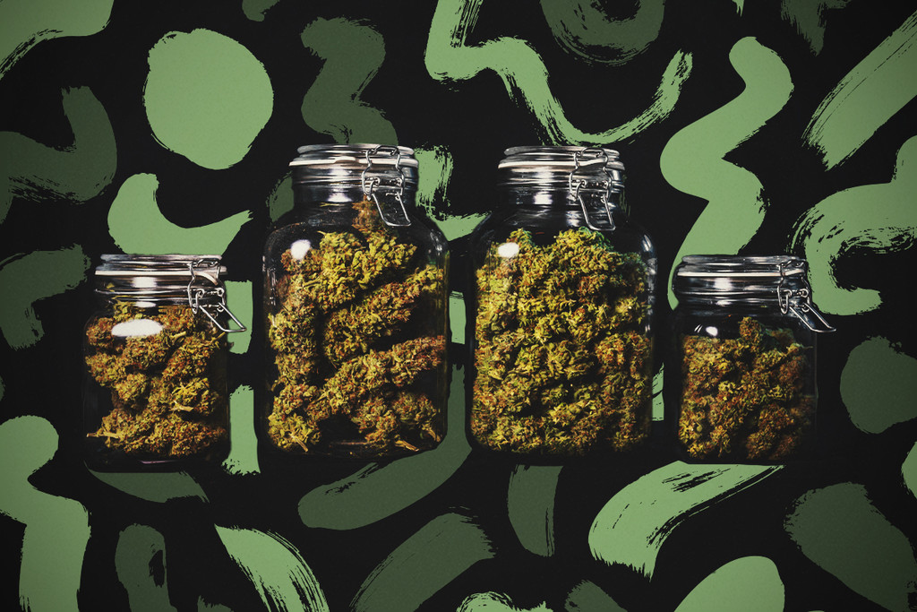 Hogyan érleljük a kannabisz rügyeket - RQS Blog