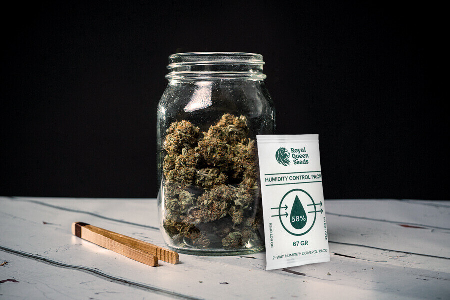 Hogy lehet elkerülni a fű penészedését a szárítás és érlelés során