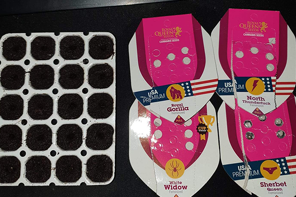 Easy Start Easy Start